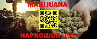 прущие грибы Будённовск