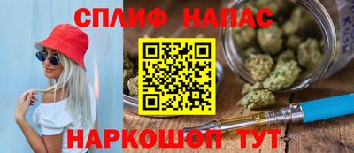 прущие грибы Будённовск