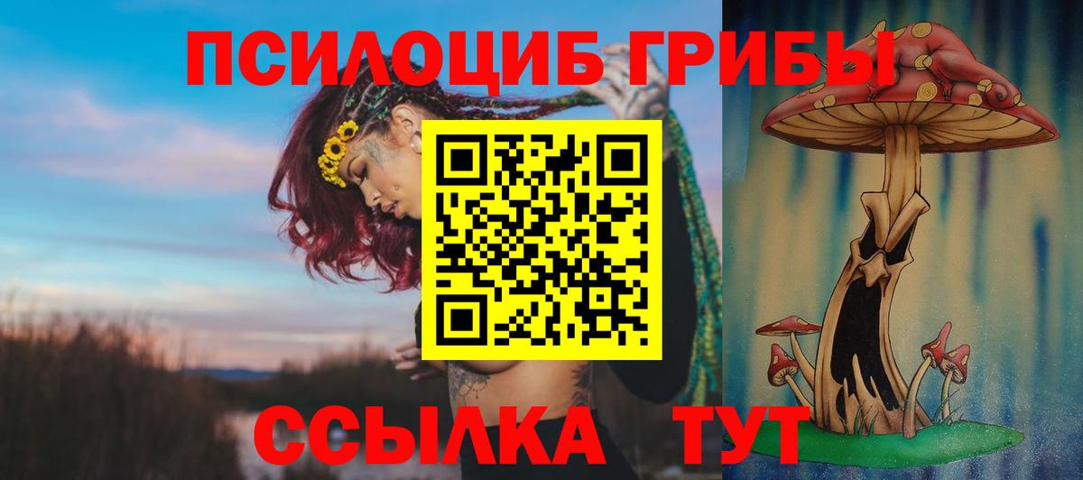 Орск  Псилоцибиновые грибы Psilocybe  Вход с VPN 